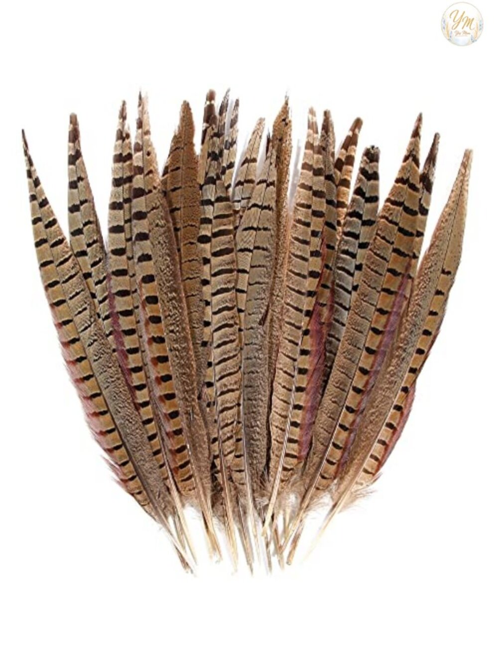 20pcs Natural Pheasant Feathers 12-14in Tails for Crafts Wedding Decor DIY